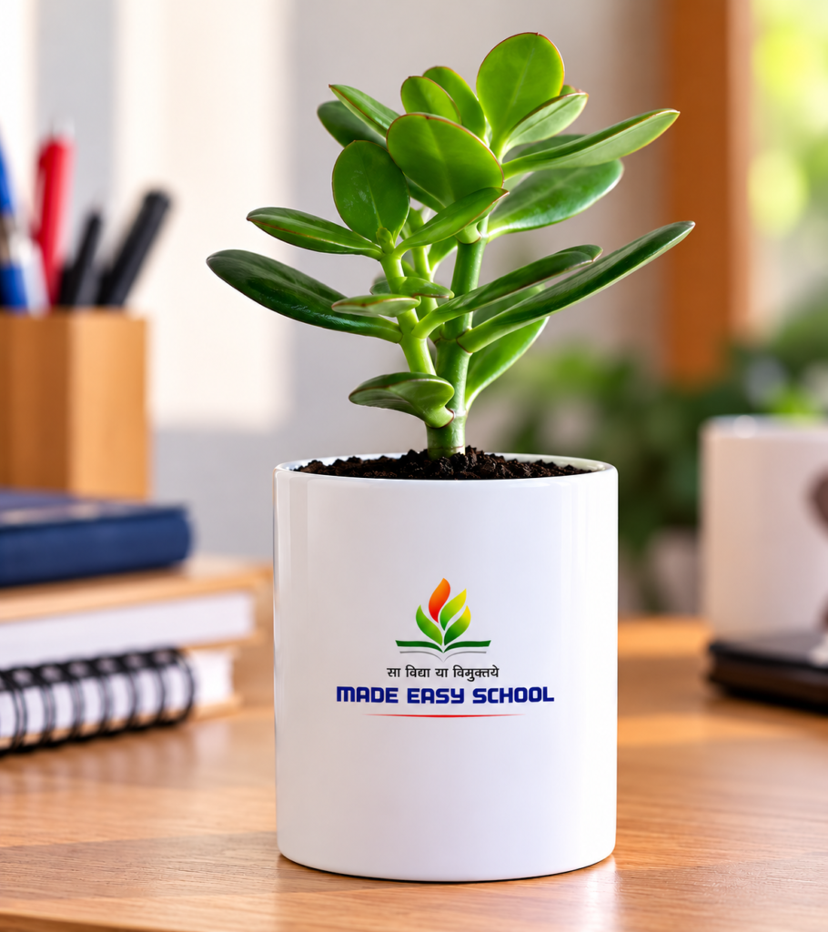 corporate diwali gifts for employees , clients in uttam nagar, delhi